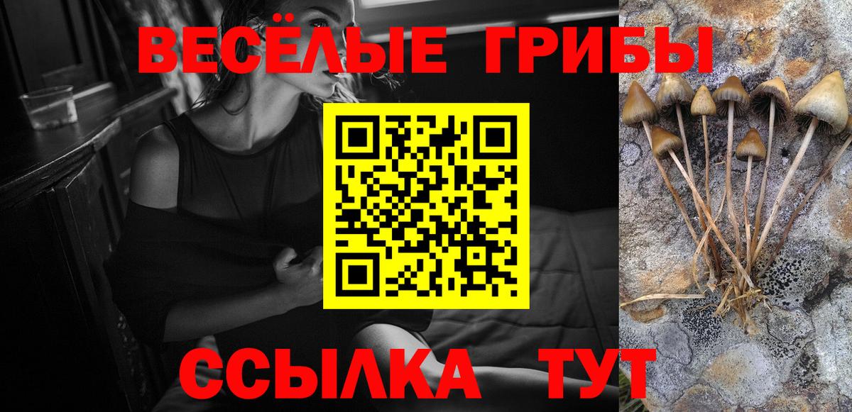 Миллерово  Псилоцибиновые грибы Magic Shrooms  Вход с VPN 