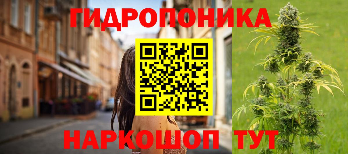 Шишки марихуана семена  Шишки марихуана White Widow  Вход с VPN  Миллерово  Марихуана индика  Каннабис план 